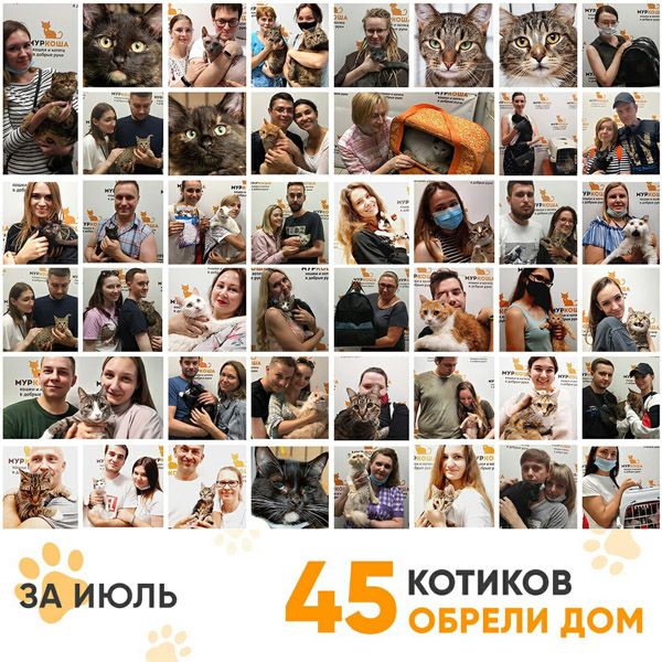 Итоги работы Adoption центра в июле 2021г.