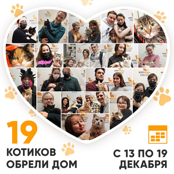 Итоги работы Adoption центра с 13 по 19 декабря 2021г.