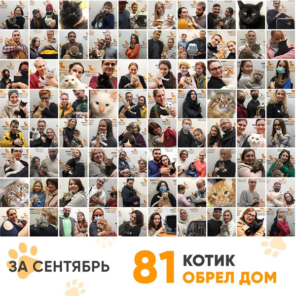 Итоги работы Adoption центра в сентябре 2021г. 