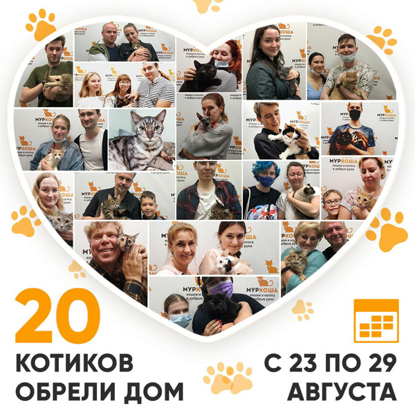 Итоги работы Adoption центра с 23 по 29 августа 2021г.