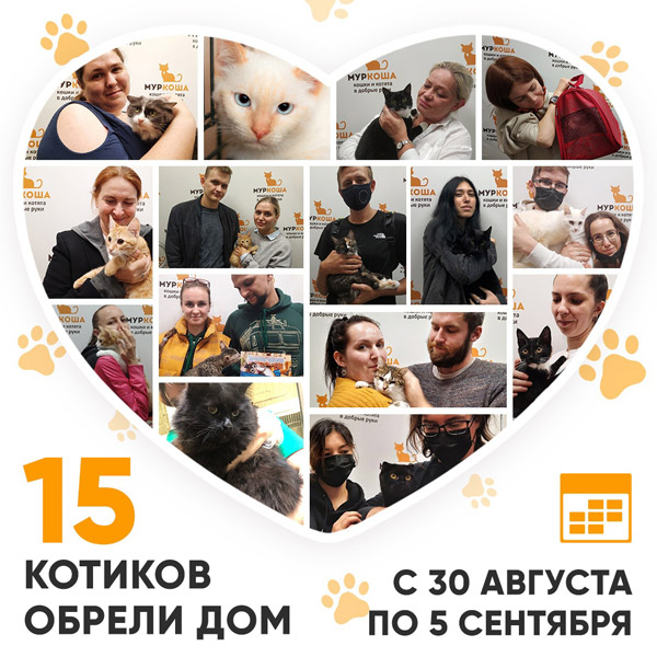 Итоги работы Adoption центра с 30 августа по 5 сентября 2021г.