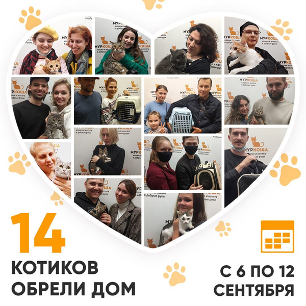 Итоги работы Adoption центра с 6 по 12 сентября 2021г.