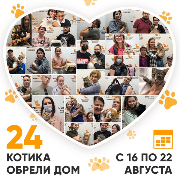 Итоги работы Adoption центра с 16 по 22 августа 2021г. 