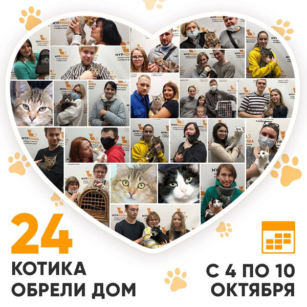 Итоги работы Adoption центра с 4 по 10 октября 2021г.