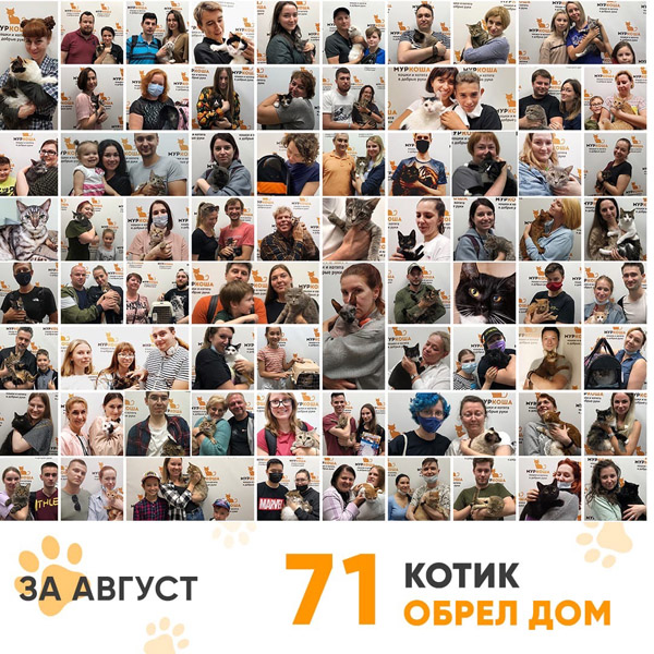 Итоги работы нашего Adoption центра в августе 2021г. 