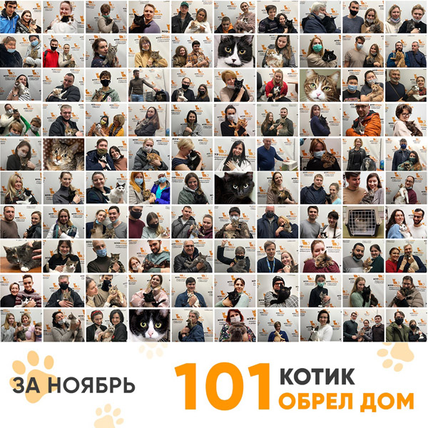 Итоги работы Adoption центра в ноябре 2021г.