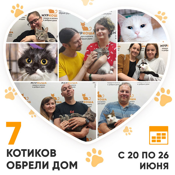 Итоги работы Adoption центра с 20 по 26 июня 2022г.