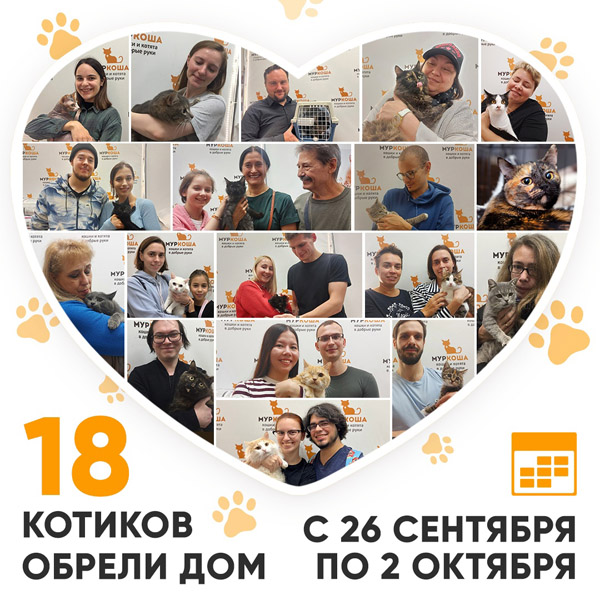 Итоги работы Adoption центра с 26 сентября по 2 октября 2022г.
