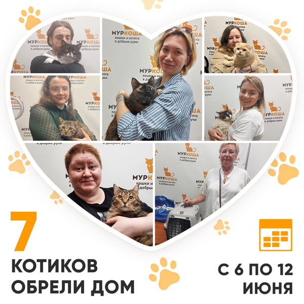 Итоги работы Adoption центра с 6 по 12 июня 2022г.