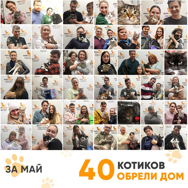 Итоги работы Adoption центра в мае 2022 года. 