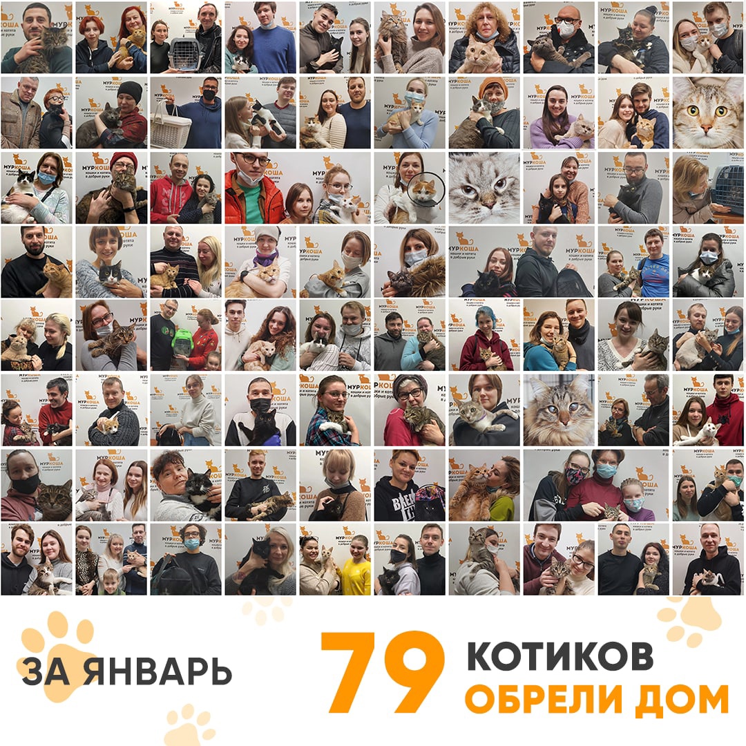 Итоги работы Adoption центра за январь 2022г.