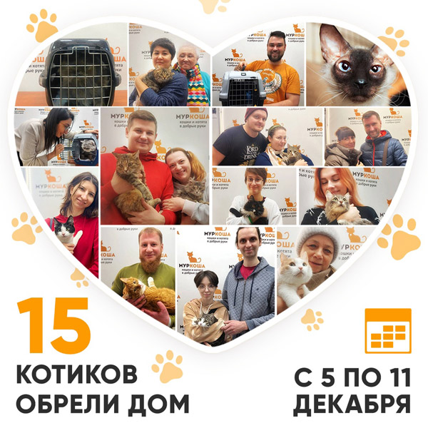 Итоги работы Adoption центра с 5 по 11 декабря 2022г. 