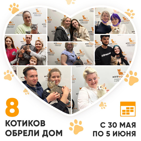 Итоги работы Adoption центра с 30 мая по 5 июня 2022г. 