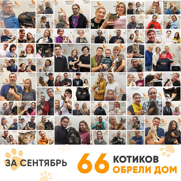 Итоги работы Adoption центра в сентябре 2022 года.