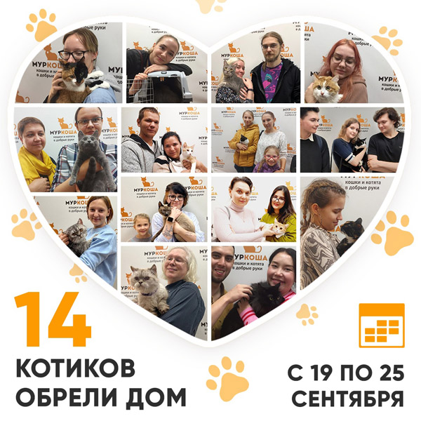Итоги работы Adoption центра с 19 по 25 сентября 2022г. 