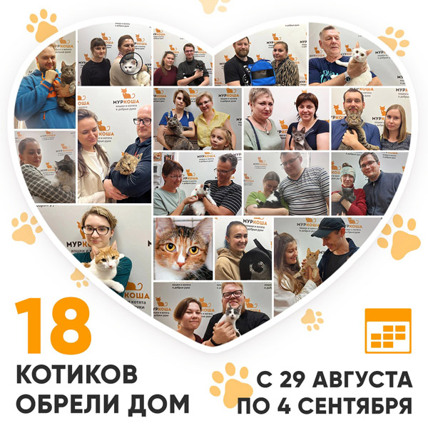 Итоги работы Adoption центра с 29 августа по 4 сентября 2022г.