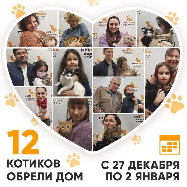 Итоги работы Adoption центра с 27 декабря 2021г. по 2 января 2022г.