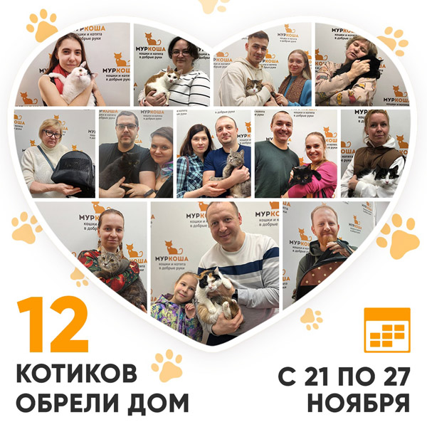 Итоги работы Adoption центра с 21 по 27 ноября 2022г.
