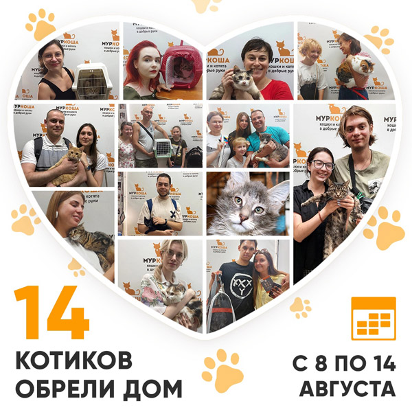 Итоги работы Adoption центра с 8 по 14 августа 2022г.
