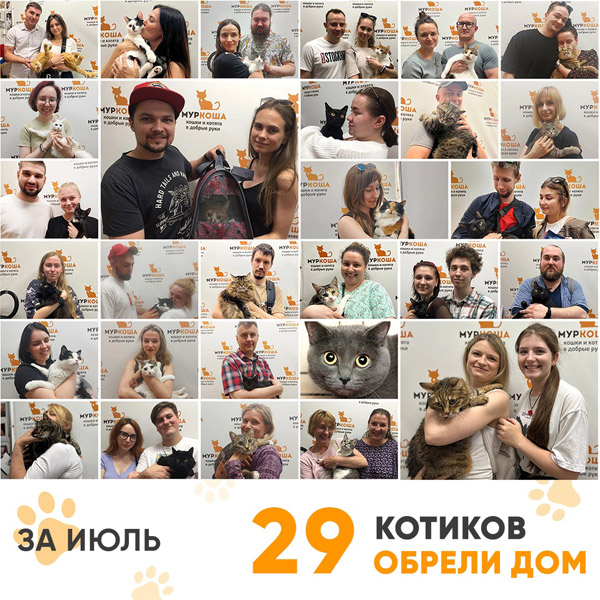 Итоги работы Adoption центра в июле 2022 года.