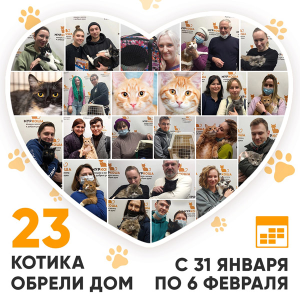 Итоги работы Adoption центра с 31 января по 6 февраля 2022г.