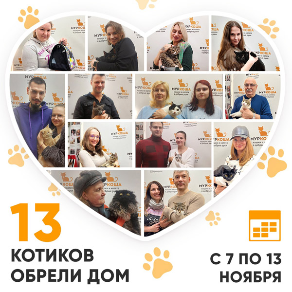 Итоги работы Adoption центра с 7 по 13 ноября 2022г. 
