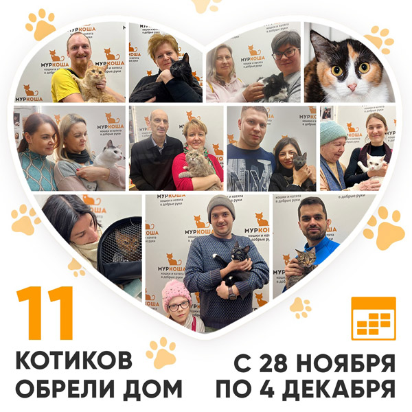 Итоги работы Adoption центра с 28 ноября по 4 декабря 2022г.