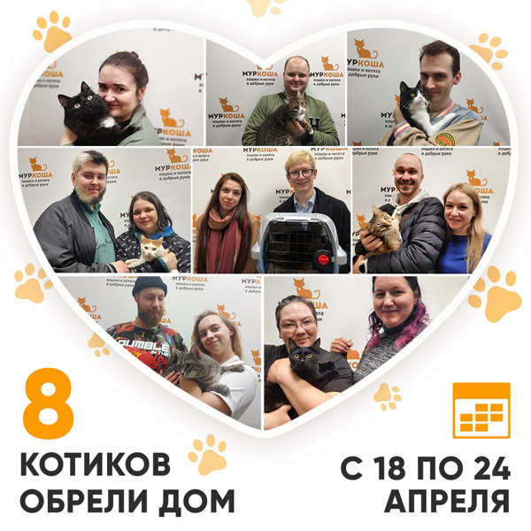 Итоги работы Adoption центра с 18 по 24 апреля 2022г.