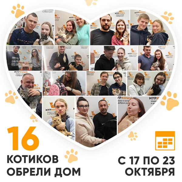 Итоги работы Adoption центра с 17 по 23 октября 2022г.