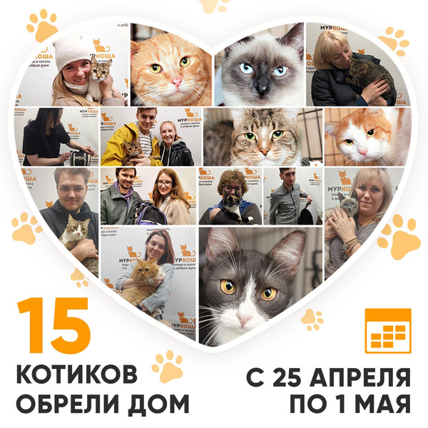 Итоги работы Adoption центра с 25 апреля по 1 мая 2022г.