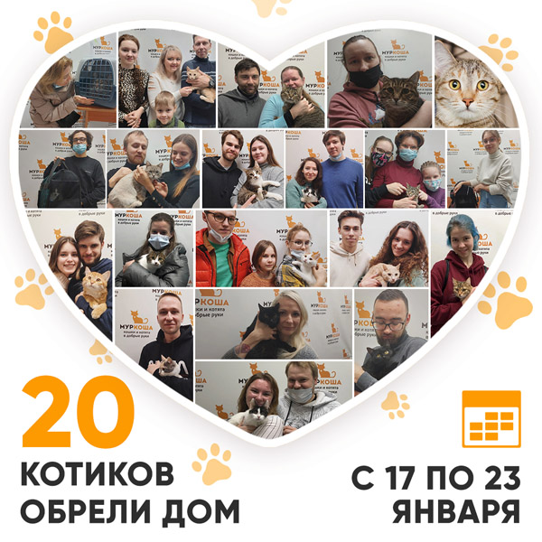 Итоги работы Adoption центра с 17 по 23 января 2022г.