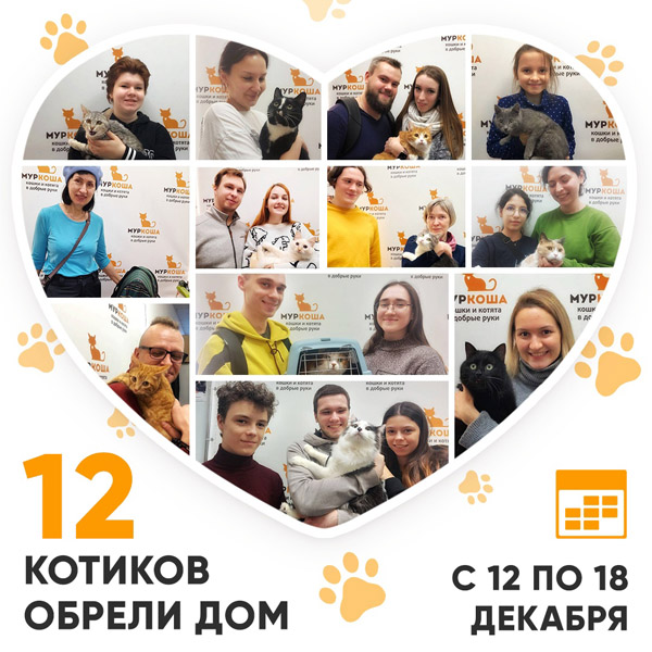 Итоги работы Adoption центра с 12 по 18 декабря 2022г.