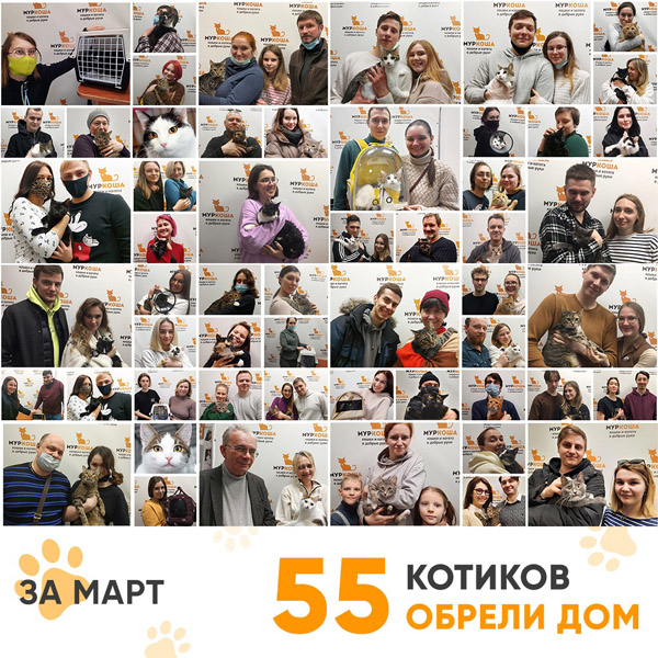Итоги работы Adoption центра в марте 2022г. 