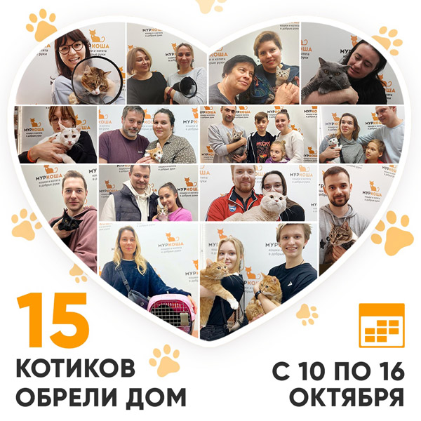 Итоги работы Adoption центра с 10 по 16 октября 2022г. 