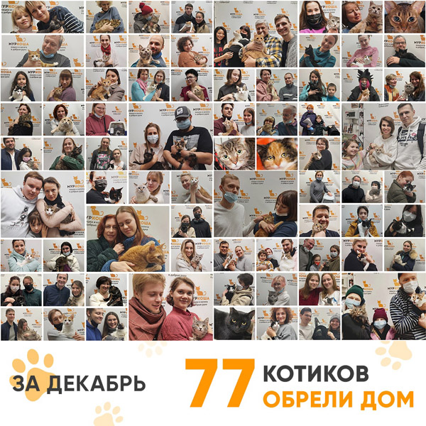 Итоги работы Adoption центра в декабре 2021г.