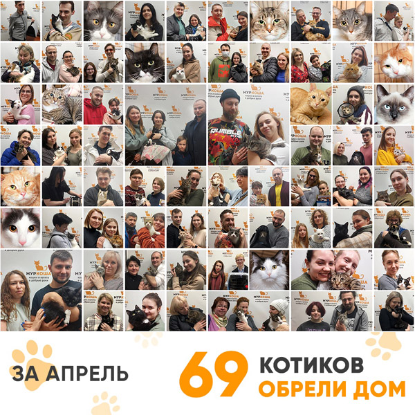 Итоги работы Adoption центра в апреле 2022 года. 