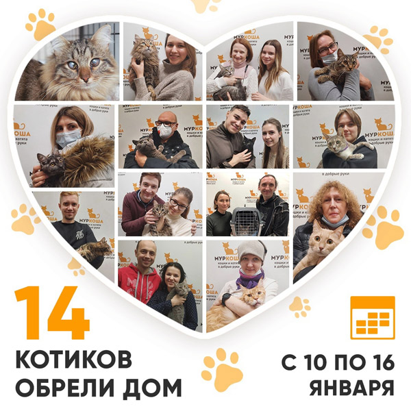Итоги работы Adoption центра с 10 по 16 января 2022г.