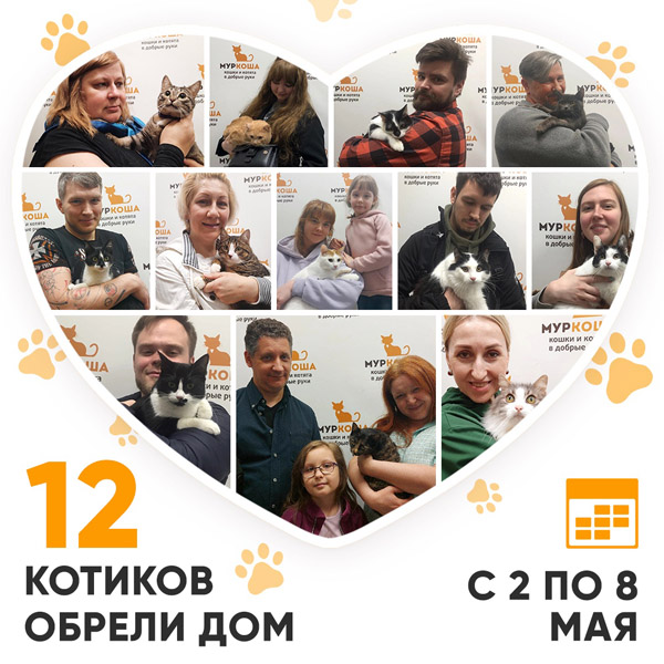 Итоги работы Adoption центра со 2 по 8 мая 2022г. 