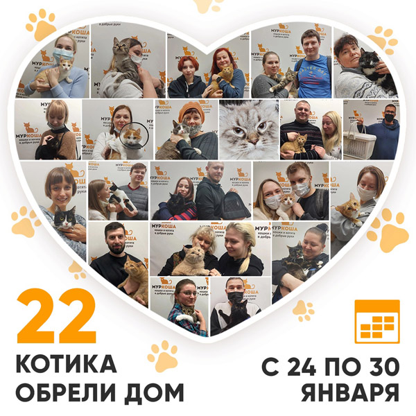 Итоги работы Adoption центра с 24 по 30 января 2022г.