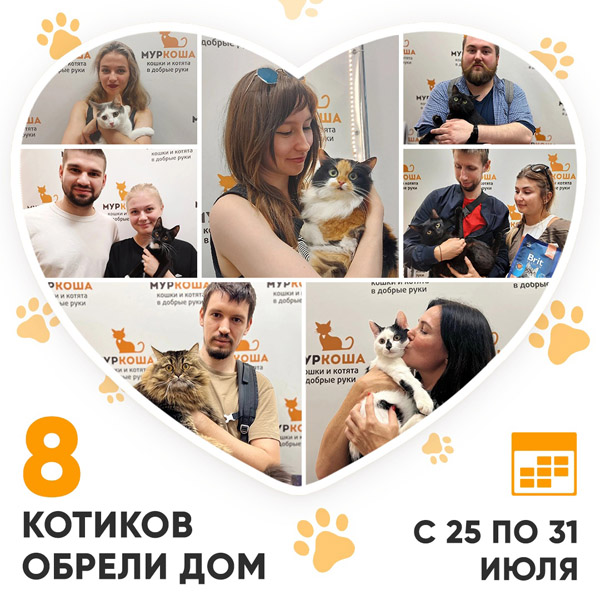 Итоги работы Adoption центра с 25 по 31 июля 2022г.