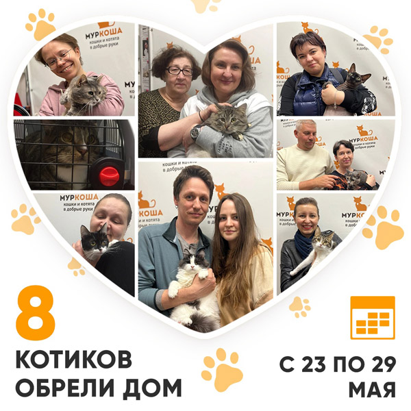 Итоги работы Adoption центра с 23 по 29 мая 2022г. 
