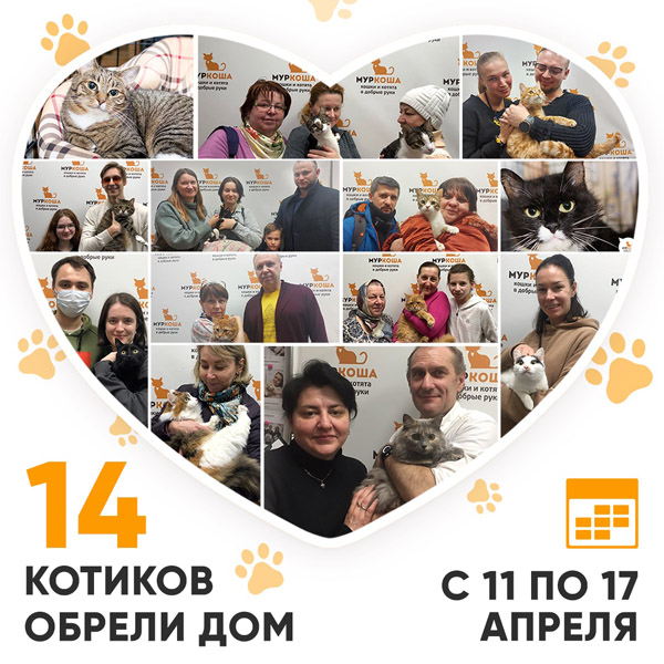 Итоги работы Adoption центра с 11 по 17 апреля 2022г. 