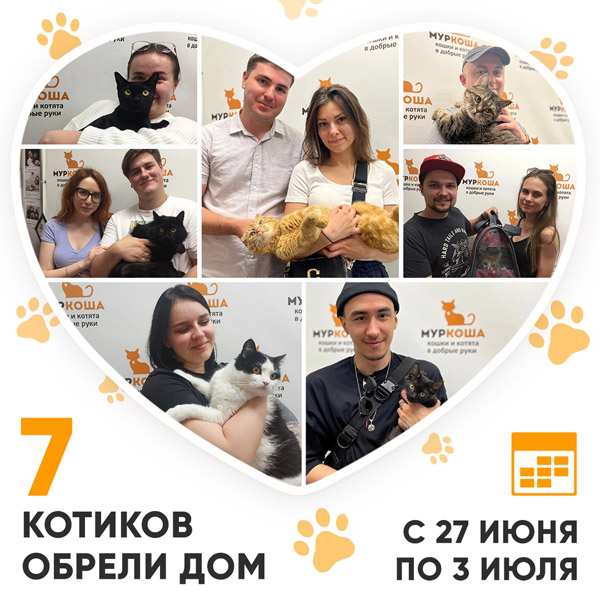 Итоги работы Adoption центра с 27 июня по 3 июля 2022г. 