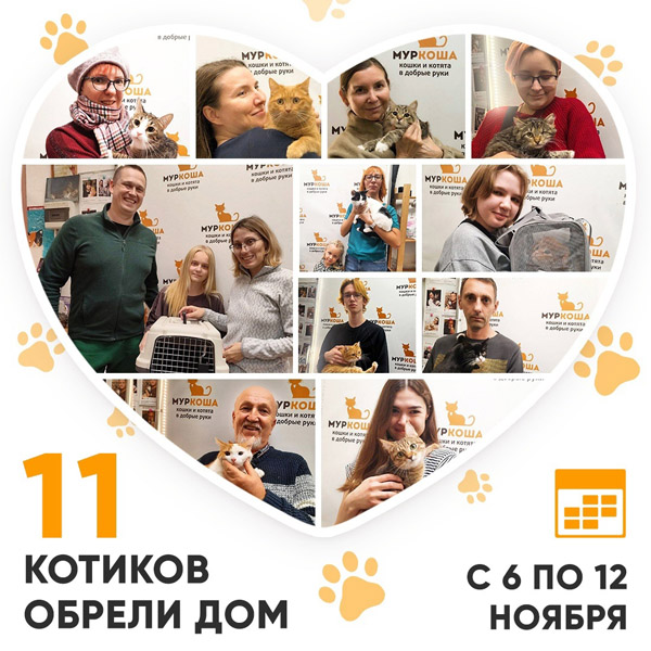 Итоги работы Центра с 6 по 12 ноября 2023г.