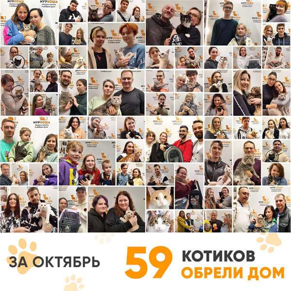 Итоги работы Центра в октябре 2023 года. 