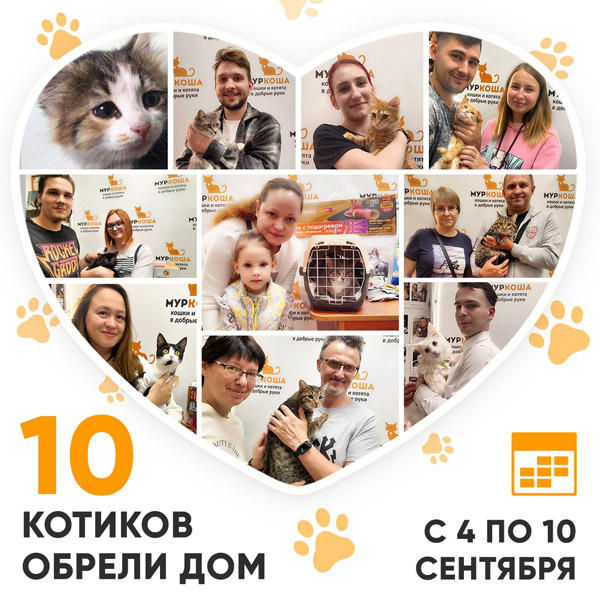 Итоги работы Центра с 4 по 10 сентября 2023г. 