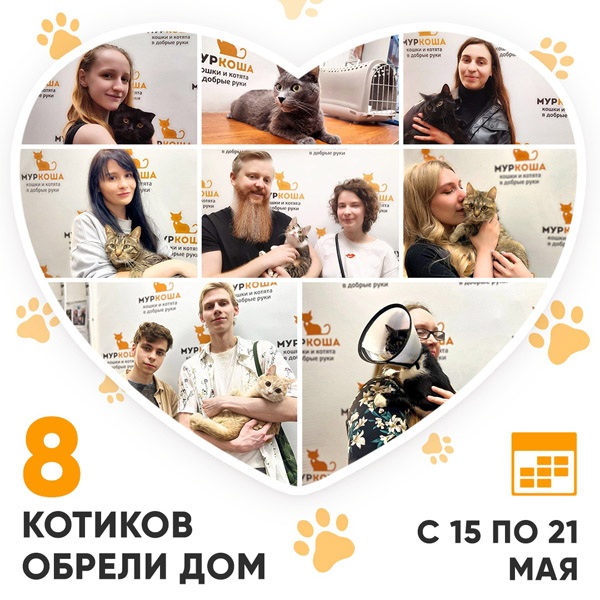 Итоги работы Adoption центра с 15 по 21 мая 2023г.
