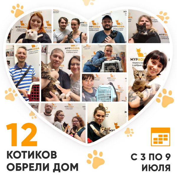 Итоги работы Adoption центра с 3 по 9 июля 2023г. 