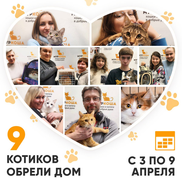 Итоги работы Adoption центра с 3 по 9 апреля 2023г.