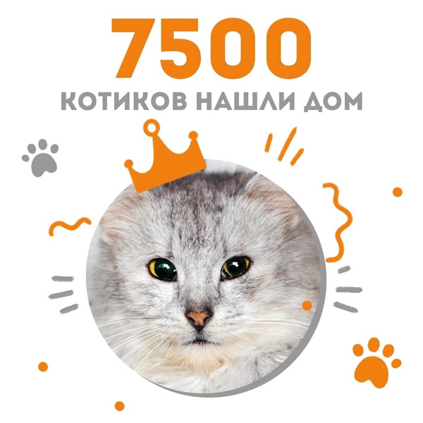 Кошечка Цуна стала 7500-ой выпускницей Adoption центра "Муркоша"!